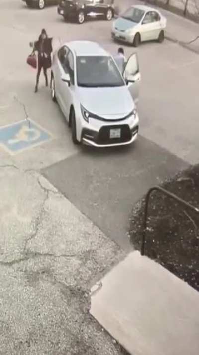 Bird attack