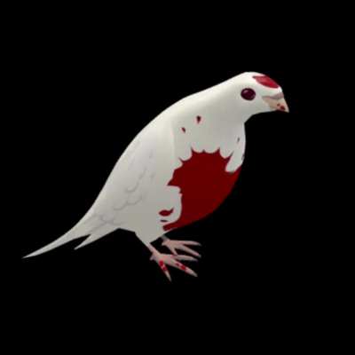 punishing bird’s archimedes arc