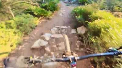 1 year and a half into mountain biking, I'm finally riding some trails that last year scared the shit out of me
