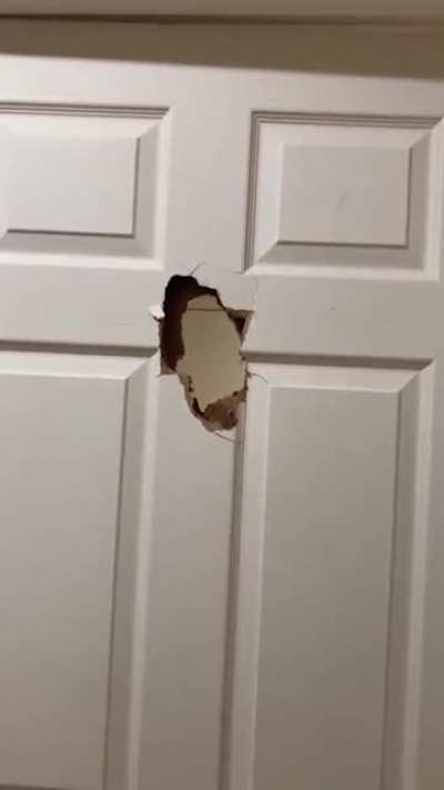 Hi