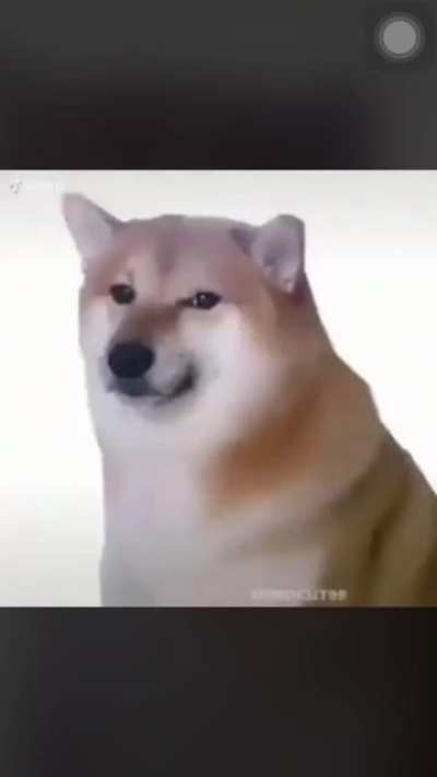 ;-;
