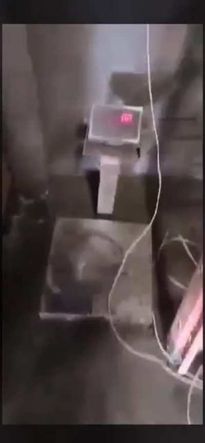 EEEEEEEEEEEEEEEEE
