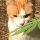 😊