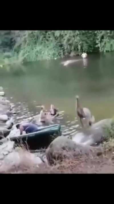 My fish people need me