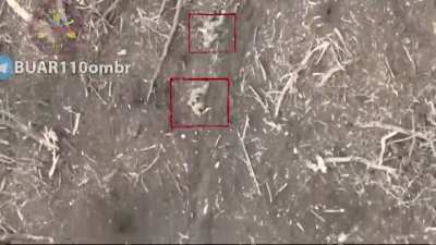 New footage shared by 110th brigade. Avdiivka direction. The fields are littered with corpses.