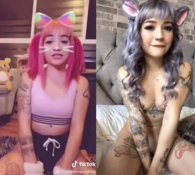 🌸🐱