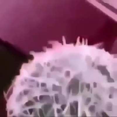 Carlos