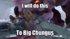 Chungus Slayer