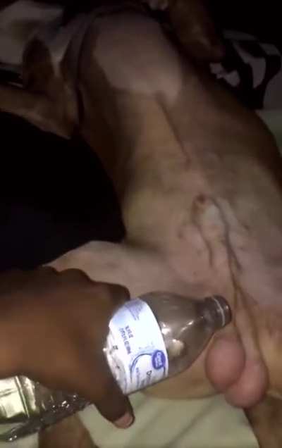 Nice balls