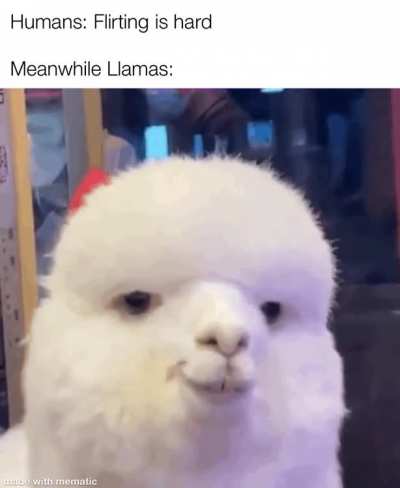 Hello there