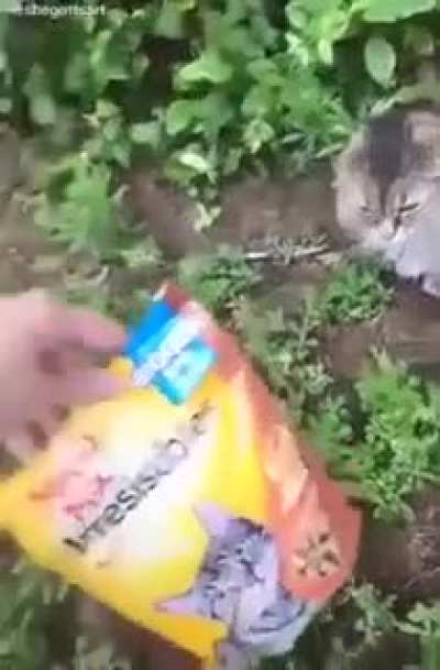 No, it's Meow-Mix.