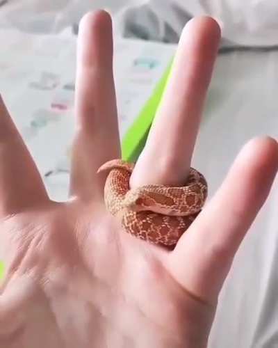 Колечко