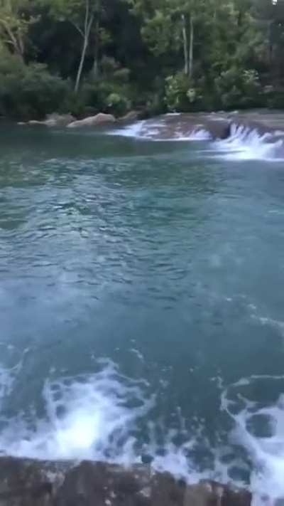 Don't mind me, just going for a swim