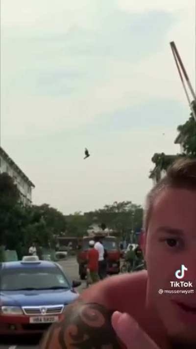Real or edited? Compilation of more birds 