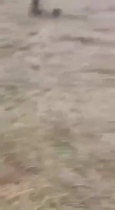 Russian cruise missile intercepted by Ukrainian MANPADS this morning