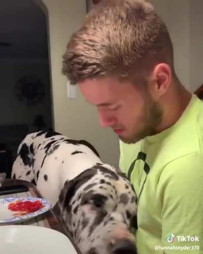 Big boy get up in owner’s face and tells him what’s what