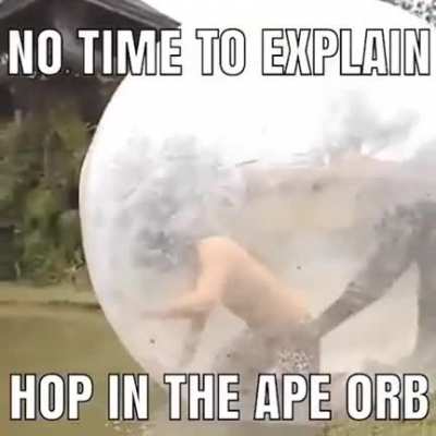 me when quarantine