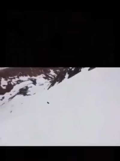 The Seal got me