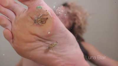 Stomped by Luna