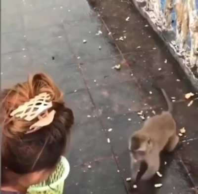 Perfectly cut fall*
