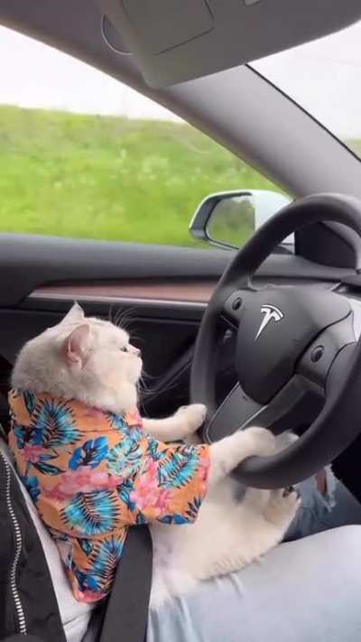 And they say it's a autopilot.
