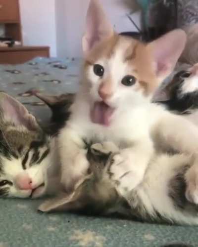 Let me kiss you