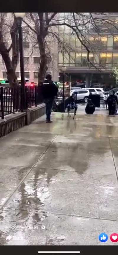 NYPD using Robot Dog [DIGIDOG]