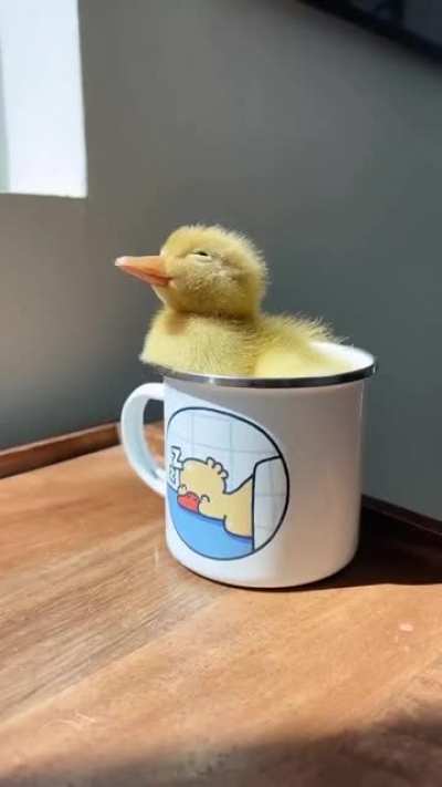 This little fella made my day 😊
