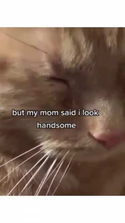 title