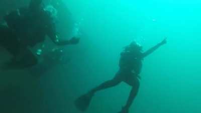 Just swimming along