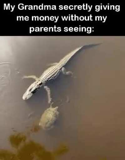 Very cool grandma