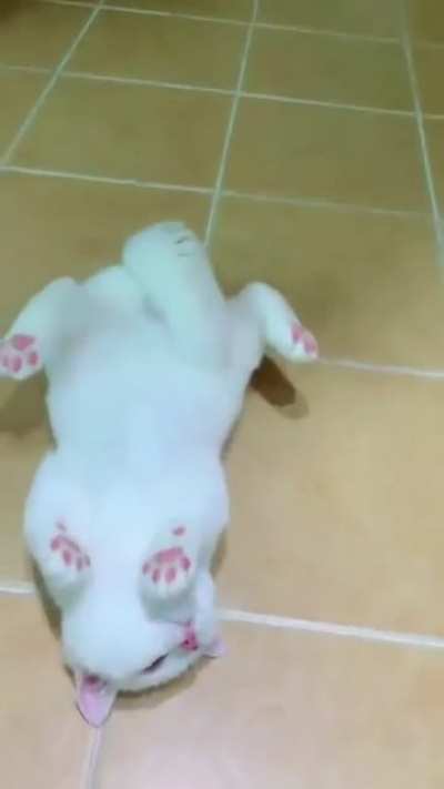 Pink jelly beans