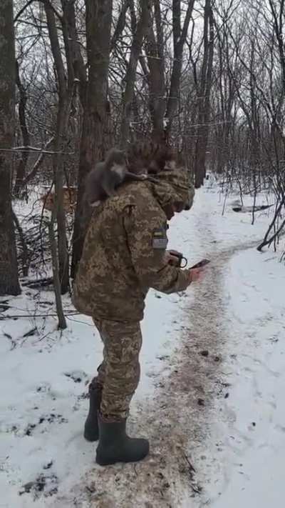 How to Catfight in Ukraine (It's all about the defender!)