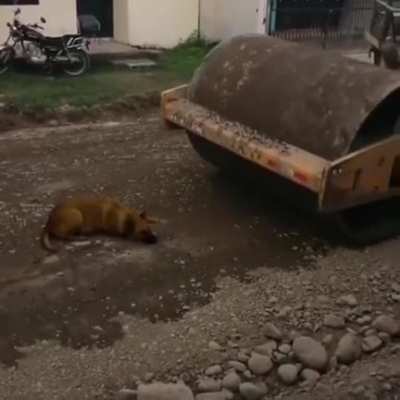 Hey! Watch where you are going! There is a d...