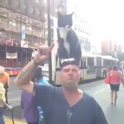 Toxic Bastet mains: