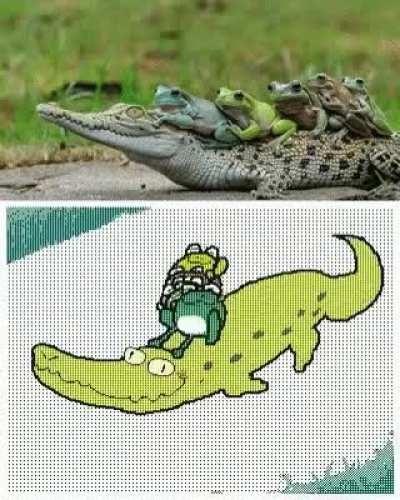 No title, just gator