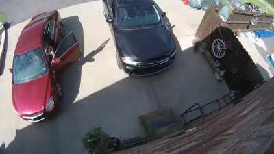 quick reflexes