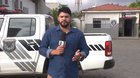 This cat really wanted to appear on TV. The reporter adopted him afterwards 🥰