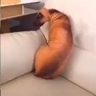Come here cutie.