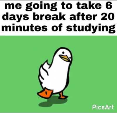 me irl