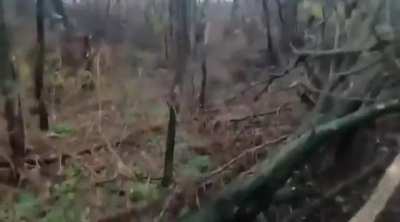 Group of Brazilian soldiers fighting the Russians in eastern Ukraine (Archival footage) 