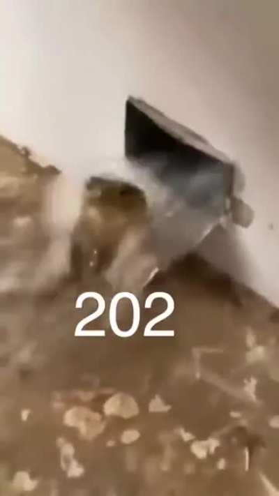 Me_irl
