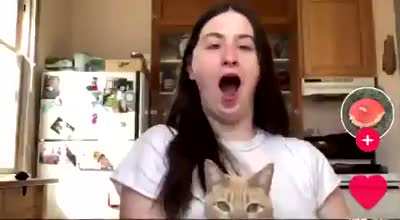 Based Cat