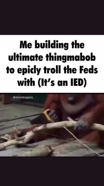Build a little house together