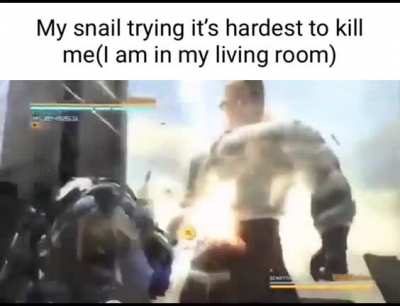 rule