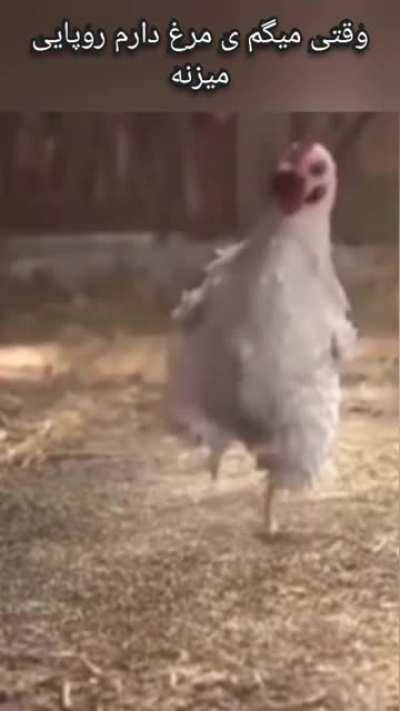 دخترای عزیز دروغ نداریم بگیم 😅