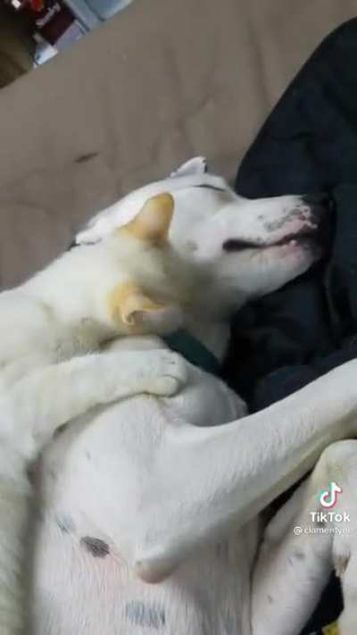 Full body massage