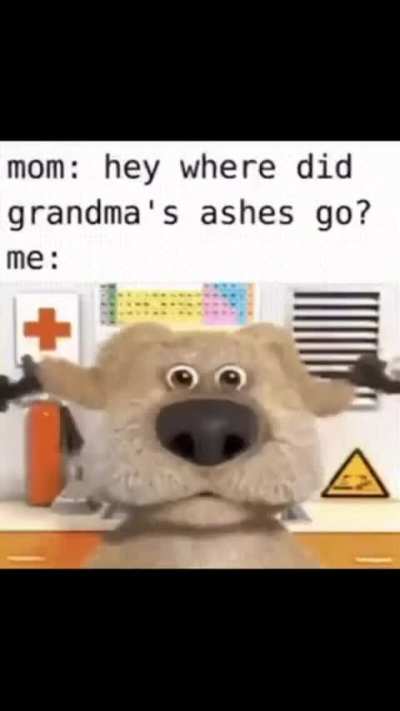 Heil spez type of dog