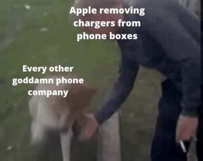 why Apple WHY