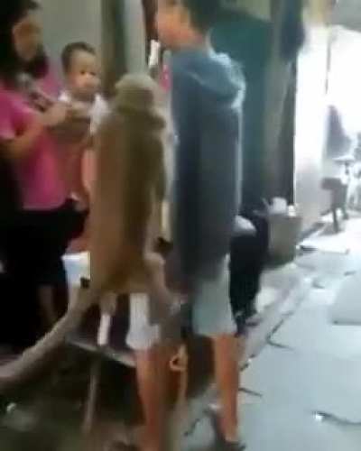 Ops
